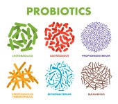probiotics_gut_health_immunity_2.jpg