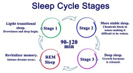 sleep-cycle.jpg