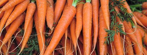 some-raw-carrots-pic.jpg