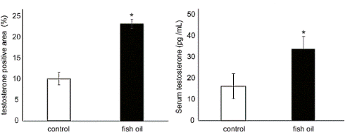 fish-oil-supplementation-testosterone-mice.gif