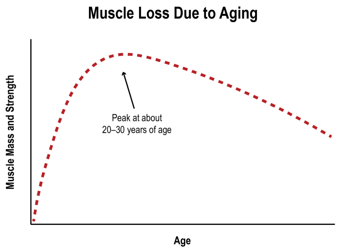 benefits of strength training: muscle loss due to aging