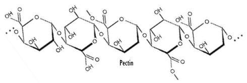 pectin-structure.gif
