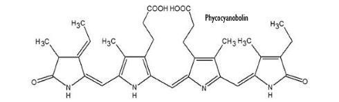 phycocyanobolin.gif