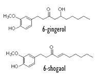 6-gingerol-6-shogaol.gif