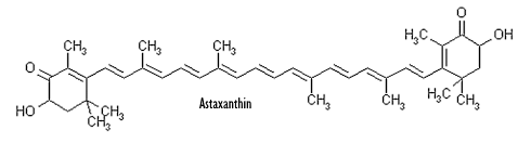 astaxanthin-structure.gif