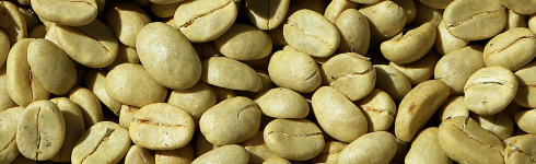 green-coffee-beans-just-a-pic.jpg