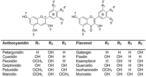 pelargonidin-other-flavonoids.gif