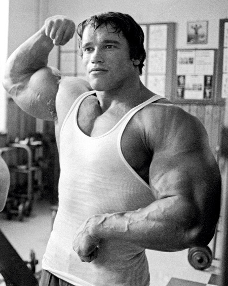 Arnold-Arms.jpg
