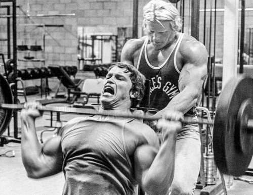 arnold-schwarzeneggers-mammoth-chest-and-back-workout_01