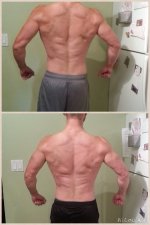 6-5 weeks out comparison.JPG