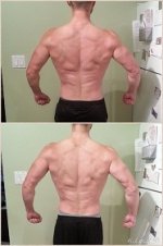 Back 5-4 Weeks Out.jpeg