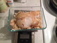 Tilapia and Rice.JPG