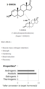 1-DHEA.png