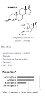 4-DHEA.png