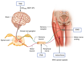 1763737158497.png 1763737158497.png