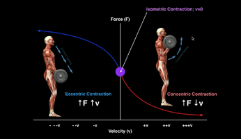 1774829891022.png 1774829891022.png