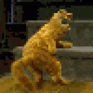 tzoueqxtvg
