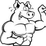 T-pig