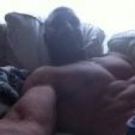 beeflover