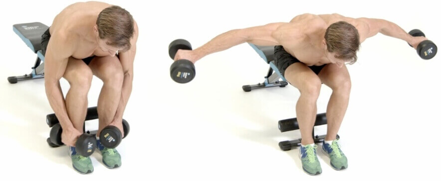 Dumbbell Rear Lateral Raise