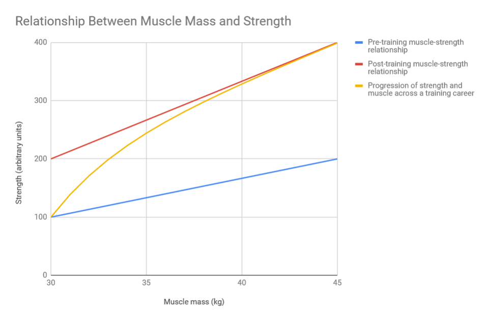 Muscle-strength-relationship.png