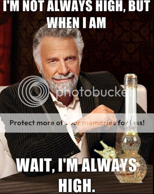 tumblr_lc64gr9ioN1qzekdio1_500.jpg