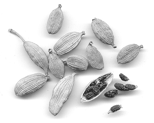 green-cardamom-pods.jpg