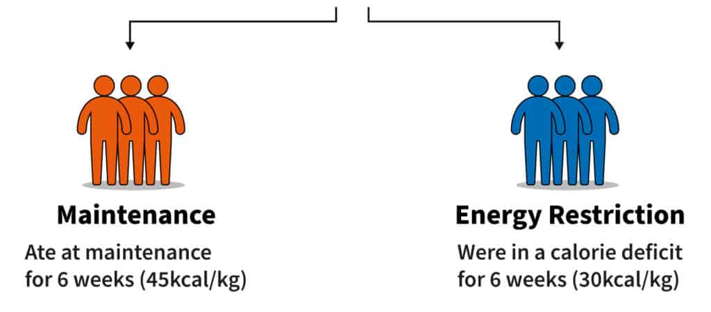 roth-group-breakdown-study-1024x450.jpg
