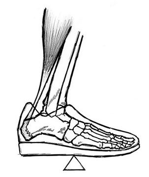 The mid-foot balance point. Photograph: Rippetoe, Mark (2012-01-13). Starting Strength (Kindle Location 377). The Aasgaard Company. Kindle Edition.