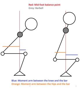 Notice that the low bar squat trades a shorter lever arm at the knee for a longer one at the hips.