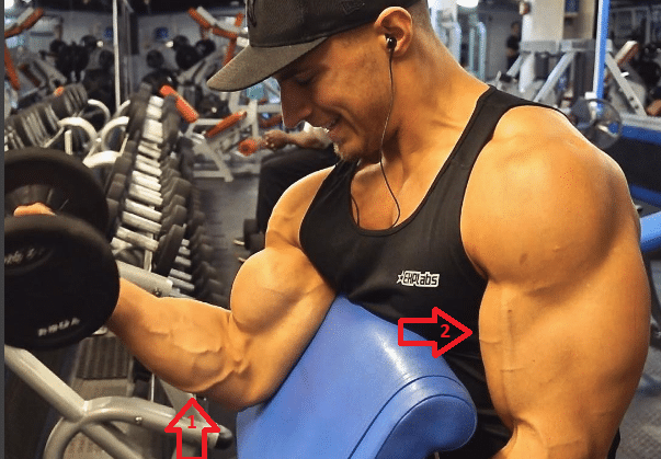 vascularity