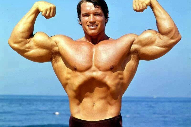 Arnold Schwarzenegger