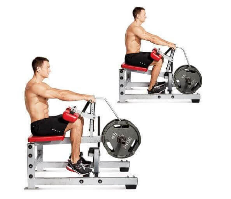 Seated Calf Raise Machine