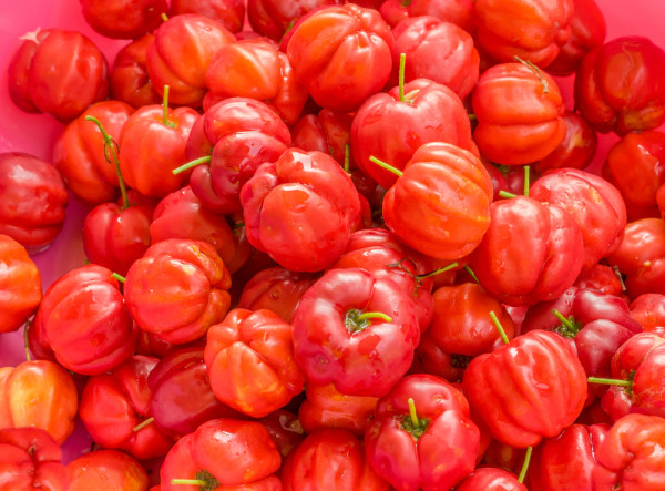 fat-burning superfood