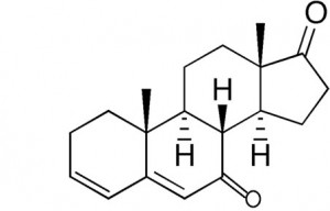 epiandro-300x192.jpg