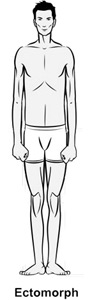 Ectomorph body type