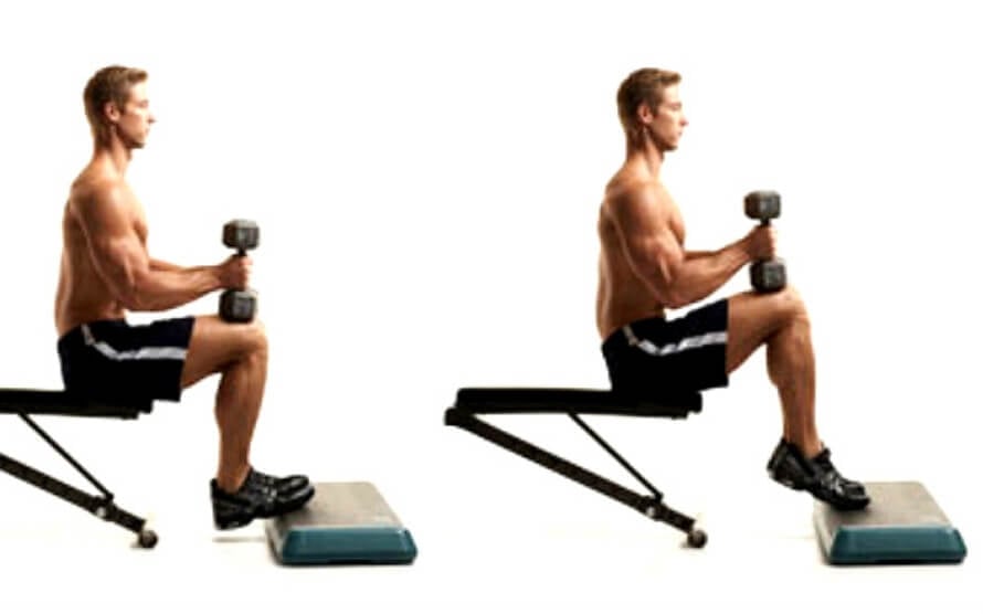Seated Dumbbell Calf Raise