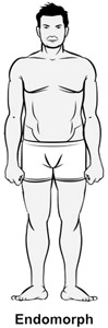Endomorph body type