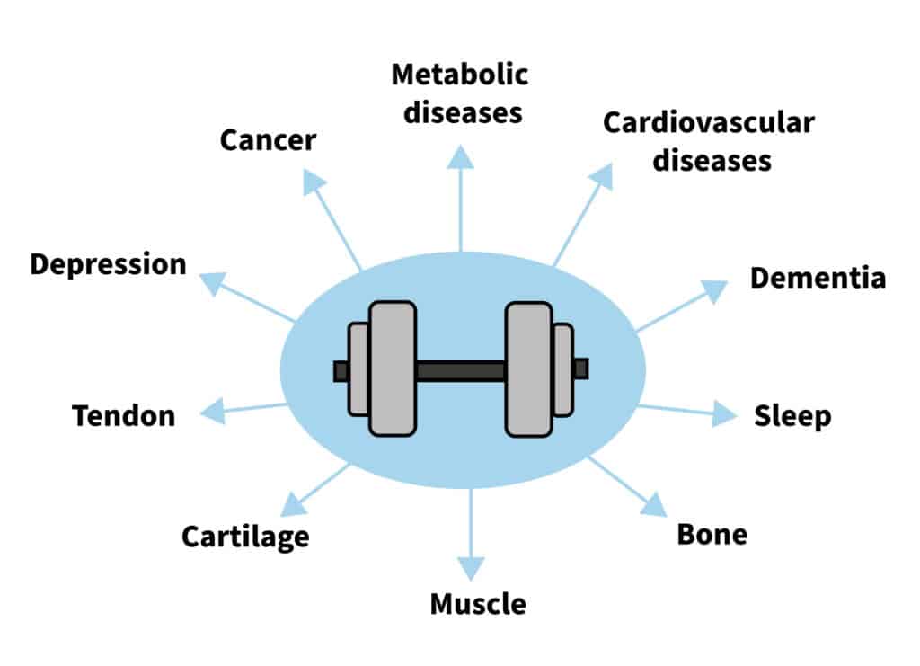strength-training-health-image-1024x741.jpg