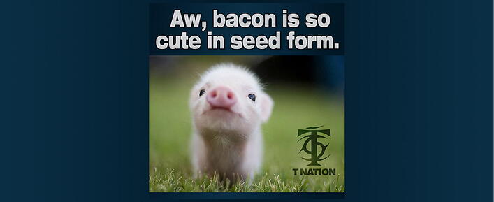 Bacon-Meme Bacon-Meme