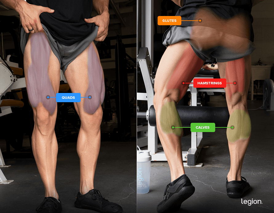 hack squat hack squat
