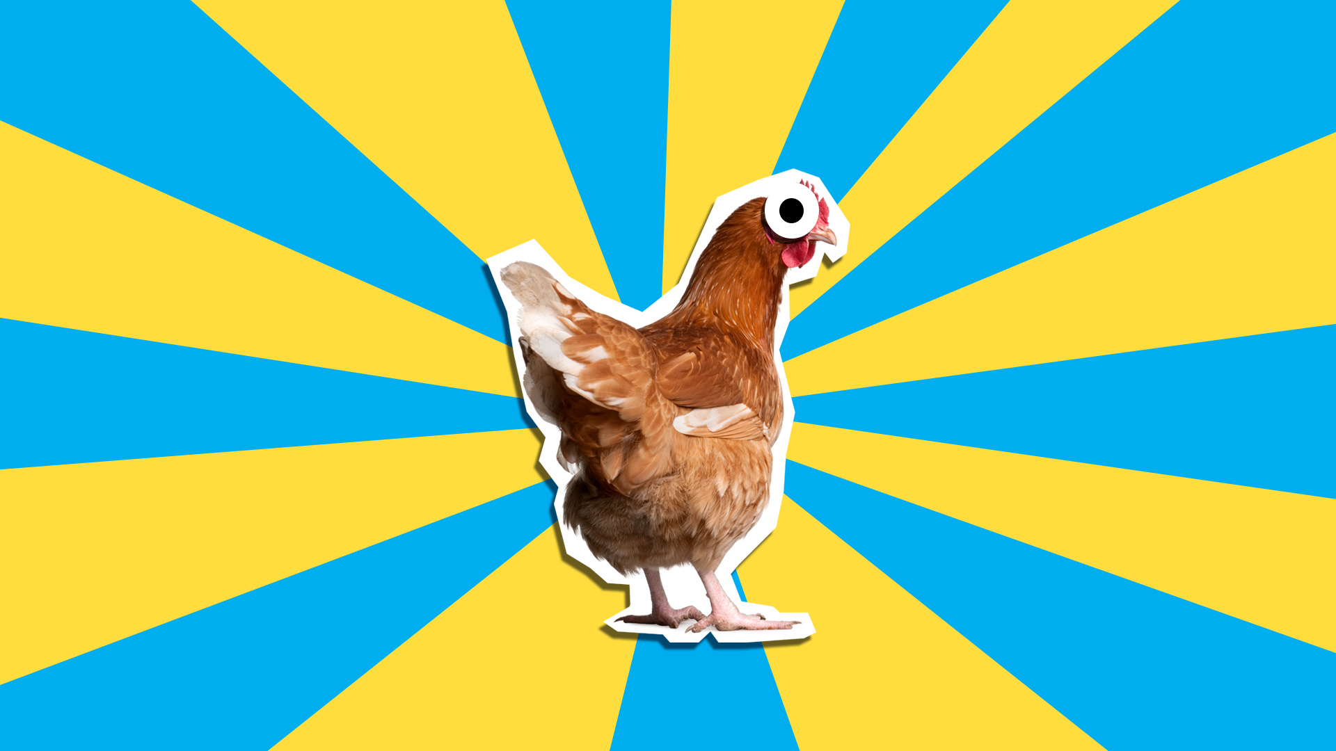 48289_another-lil-chicken.png