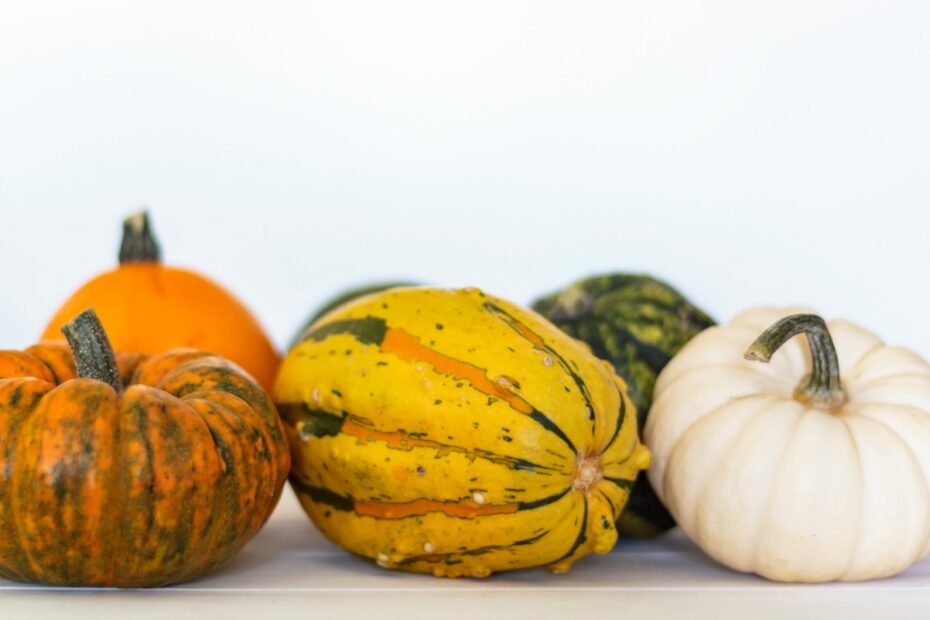 10-Squash-Varieties-You-Need-to-Try