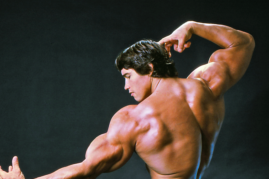 Arnold-Schwarzenegger-Mr-Olympia-IFBB-Pro-Bodybuilder
