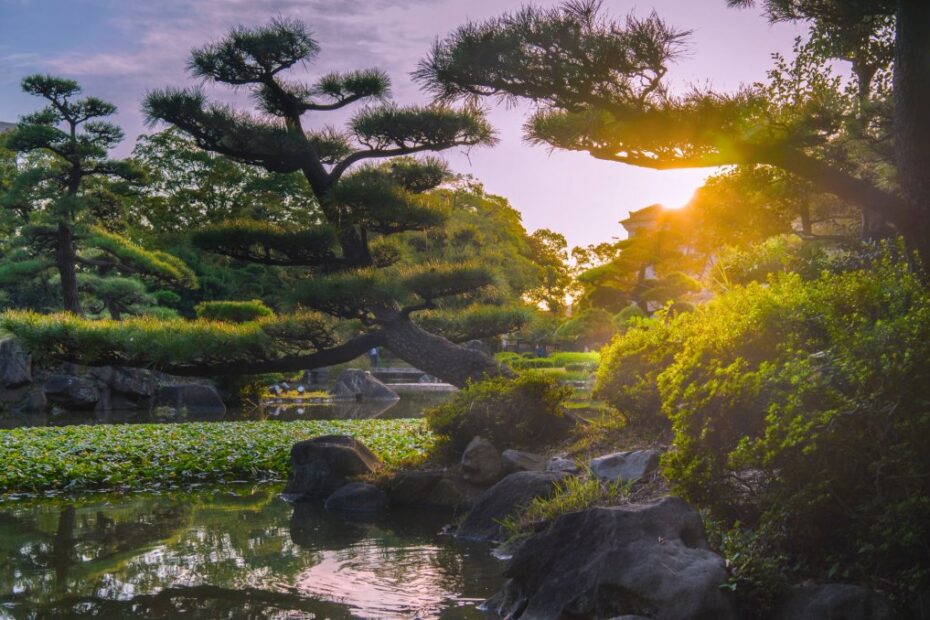 Forest-Bathing-Shinrin-Yoku-Provide-Health-Benefits