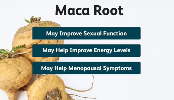 Mega Root Are Maca Root Supplements Good for Energy & Hormonal Balance? – IronMag ...
