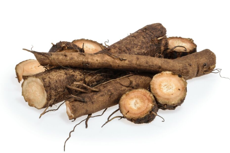 Malanga-Root-health-benefits