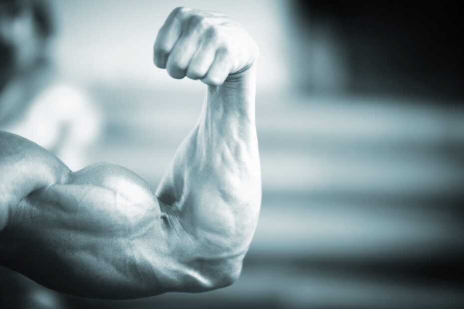 Mind-Muscle-Connection