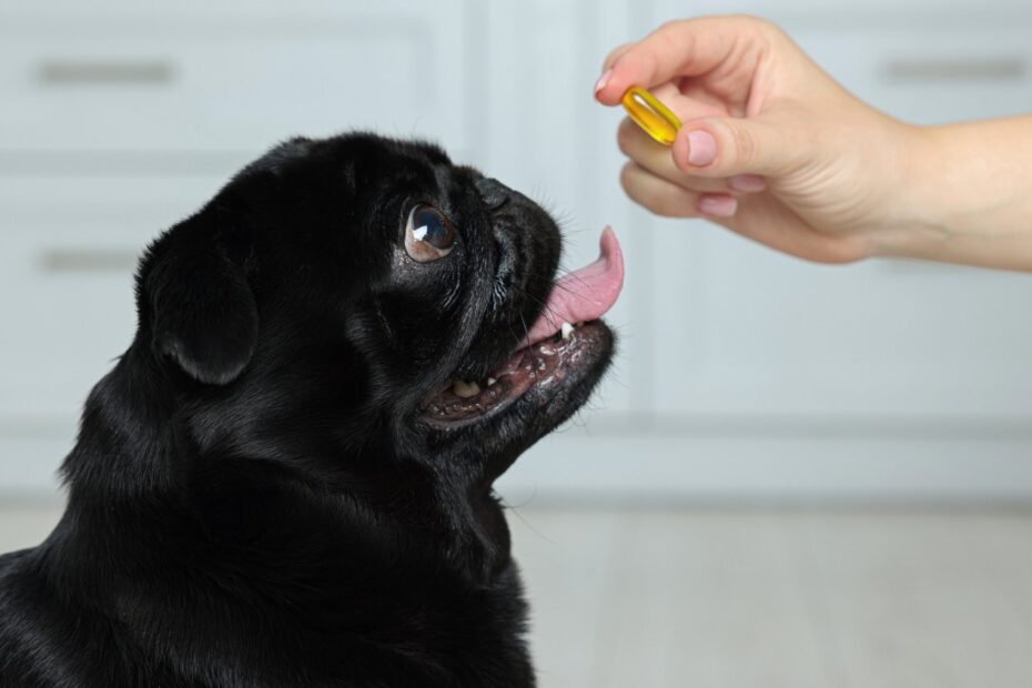 Pet-Supplements