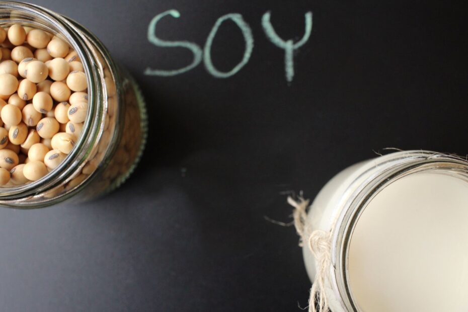 Soy-Raises-Estrogen